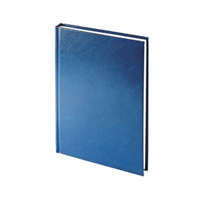 Ежедневник недатированный А5 «Ideal New», синий