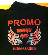 Поло с логотипом 3 цвета Red Wings Спина