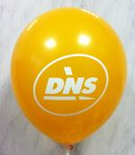 Шар с логотипом ДНС