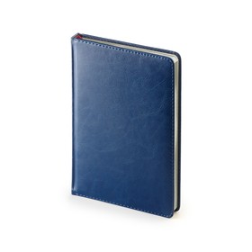 Ежедневник А5 датированный «Sidney Nebraska» 2022, синий (серебристый обрез)