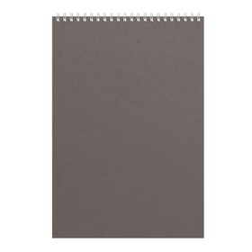 Бизнес - блокнот Альт А4 (198 х 285 мм) 