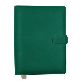 Ежедневник недатированный B5 