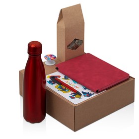 Подарочный набор с термобутылкой, блокнотом, ручкой и чаем, красный