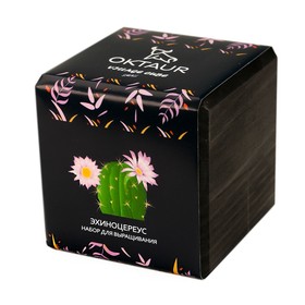 Набор для выращивания 