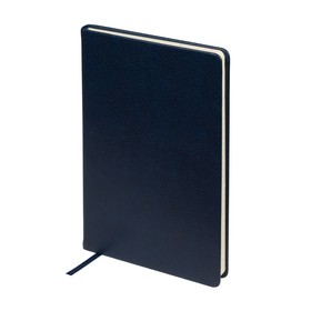 Ежедневник А5 датированный 