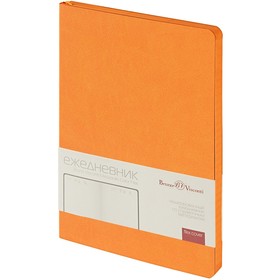 Ежедневник недатированный А5 