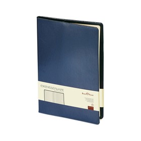 Еженедельник недатированный А4 «Profy», синий
